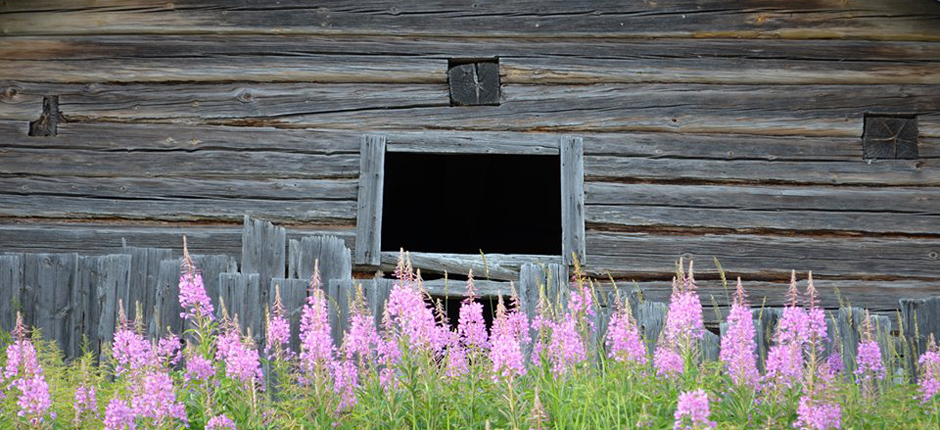 Fryksåsen/foto Kent Melin